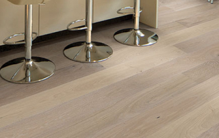 Ventura seashell banner