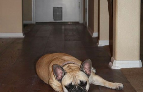 Alta Vista Carmel installation by SD Sunset Floors