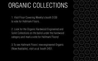 Dealer Choice Award at Surfaces 2016