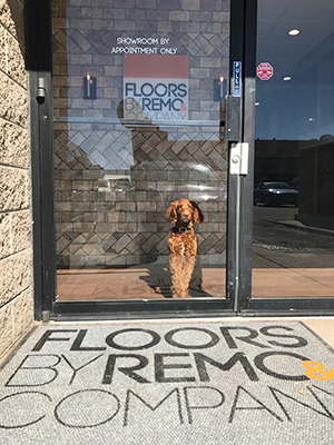 Floors by Remo and Company front door and Storefront