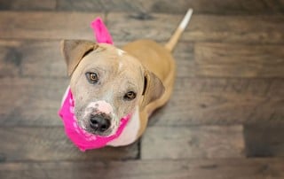 JuneBug on Orgniac 567 Darjeeling