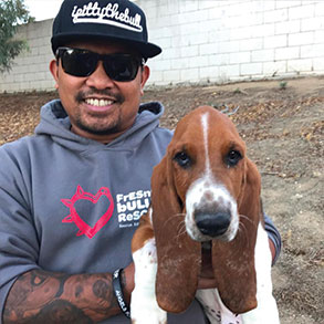 Hallmark Floors Partner Ipittythebull with a rescued basset hound puppy