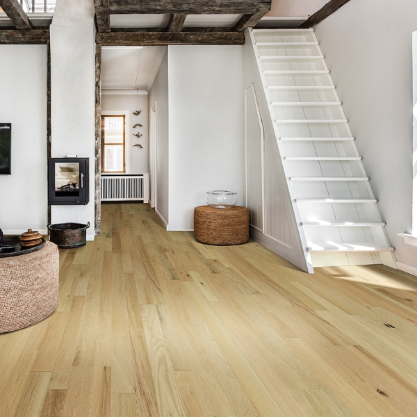 Organic Solid Poppy Seed Red Oak Room