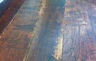 STEAM CLEANER DAMAGE3 wood floor cleaners