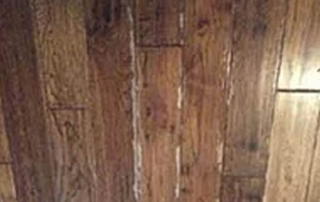 STEAM CLEANER DAMAGE44 woo floor c;eamers