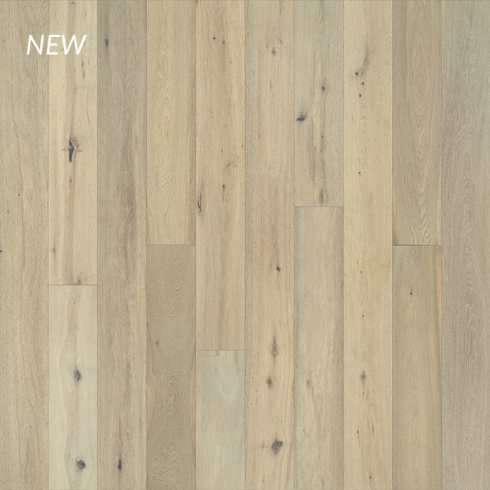 LOTUS OAK