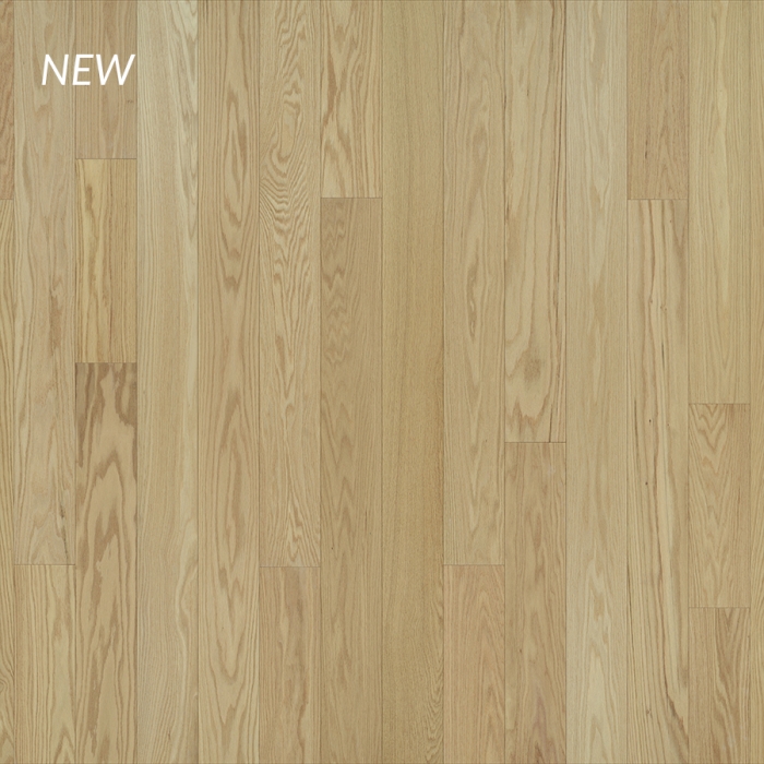 London Red Oak