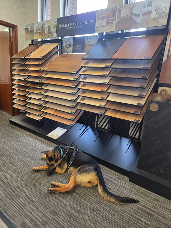 SMFC hallmark floors hardwood display